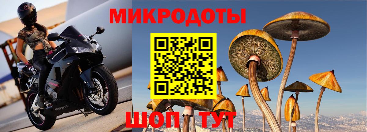 Псилоцибиновые грибы ЛСД Белебей