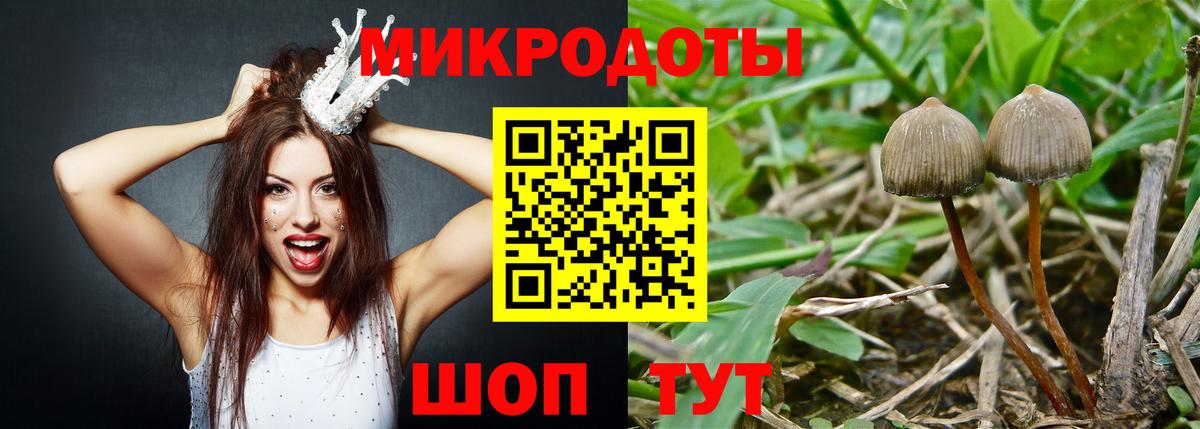 Галлюциногенные грибы мицелий  Вход с VPN  купить  сайты  Белебей 
